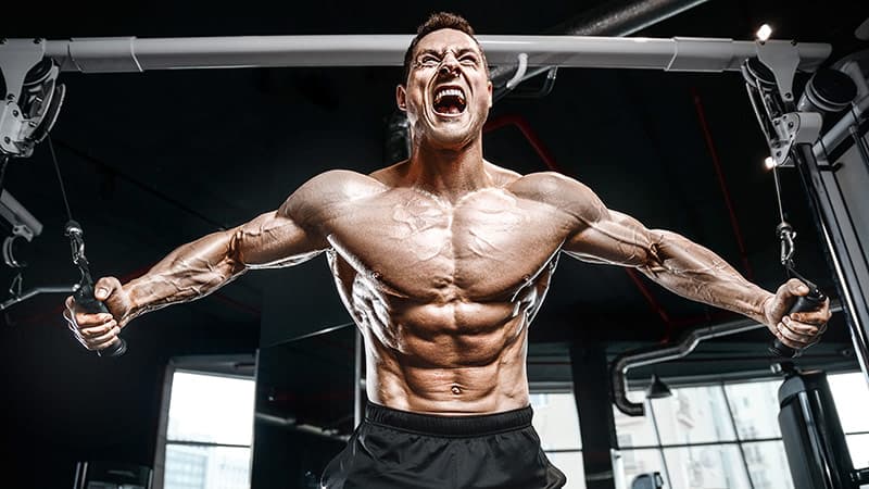 Angel Dust Pre Workout für maximale Kraft im Training bei Fatburnerking