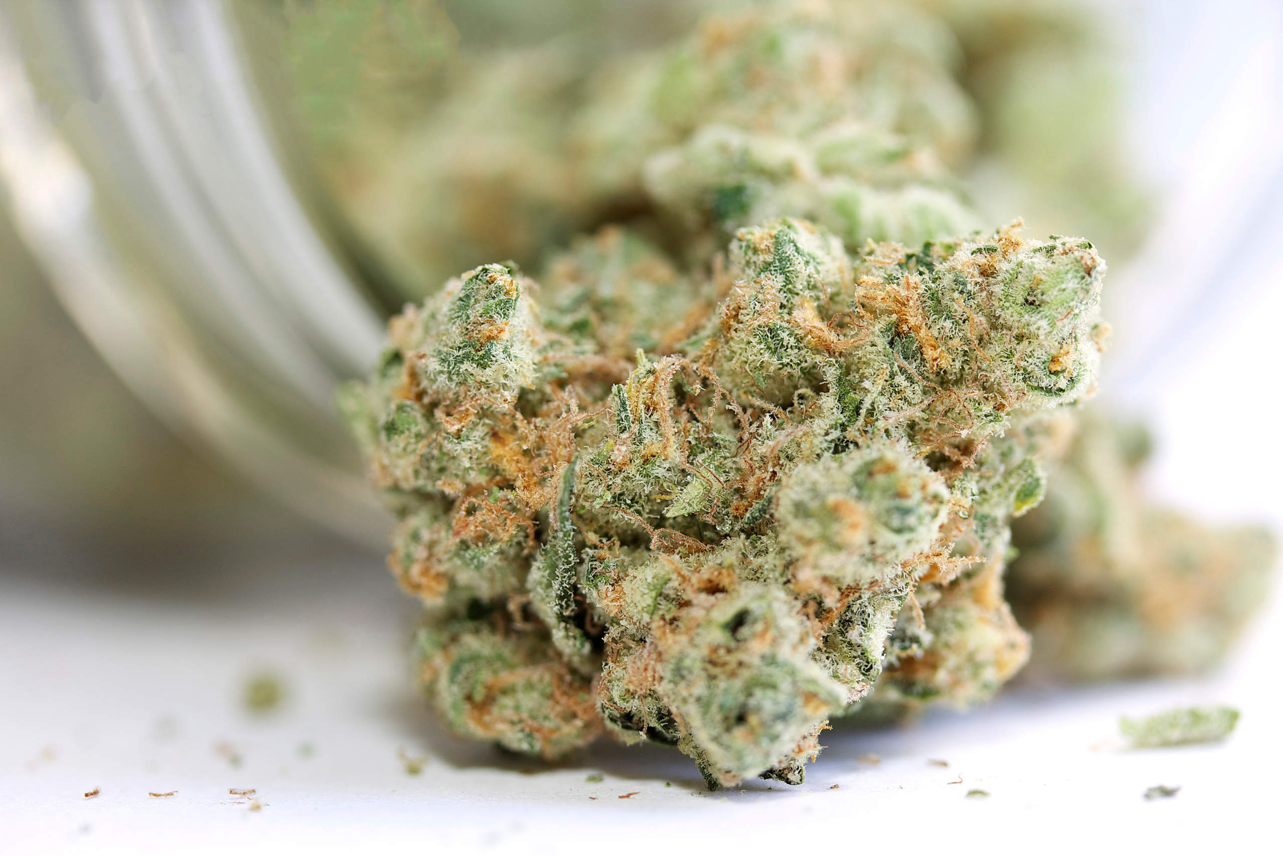 Warum Cali Weed Shop Heraussticht: Ein Genauer Blick Auf Ihre Unübertroffene Auswahl Und Ihren Fachkundigen Service