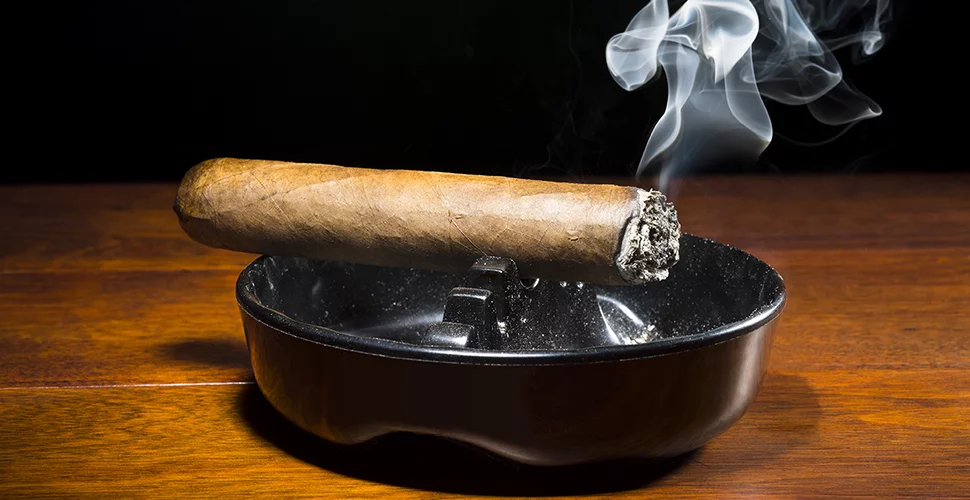 Willkommen in der Welt des feinen Rauchens: Besuchen Sie unseren Online-Shop bei C-Cigars