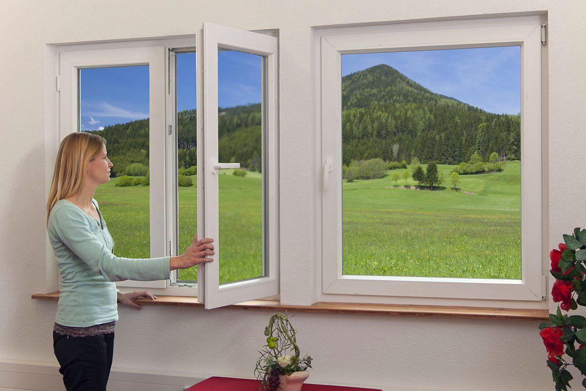 Fenster Online für Ihr Heim: Wie Sie die Besten Optionen bei LosBo-Bau Finden