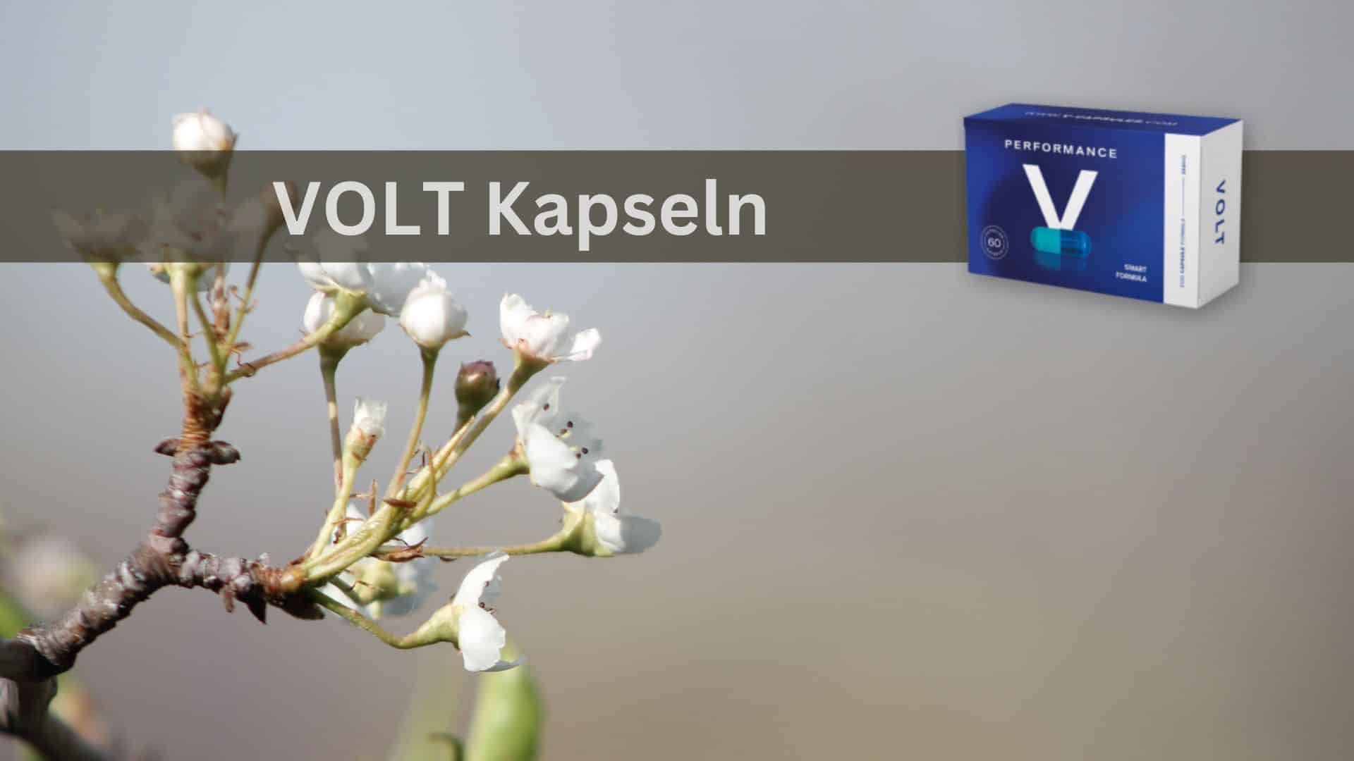 Volt Performance V Kapseln: Steigerung Ihrer Leistung auf natürliche Weise