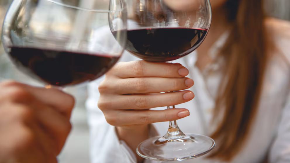 Die besten Rotwein Online kaufen aus Deutschland